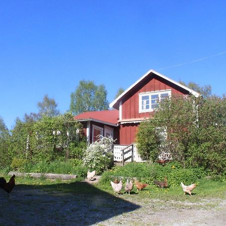 Boende Naera Romme Alpin Och Andra Friluftsaktiviteter I Dalarna Smedjebacken Dış mekan fotoğraf