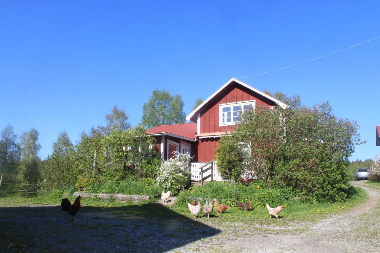 Boende Naera Romme Alpin Och Andra Friluftsaktiviteter I Dalarna Smedjebacken Dış mekan fotoğraf